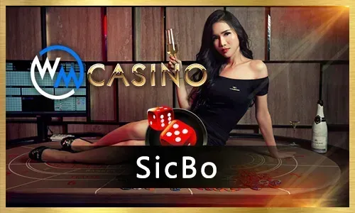 plus777 Blackjack Guide